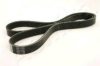 ASHIKA 112-5PK1165 V-Ribbed Belts